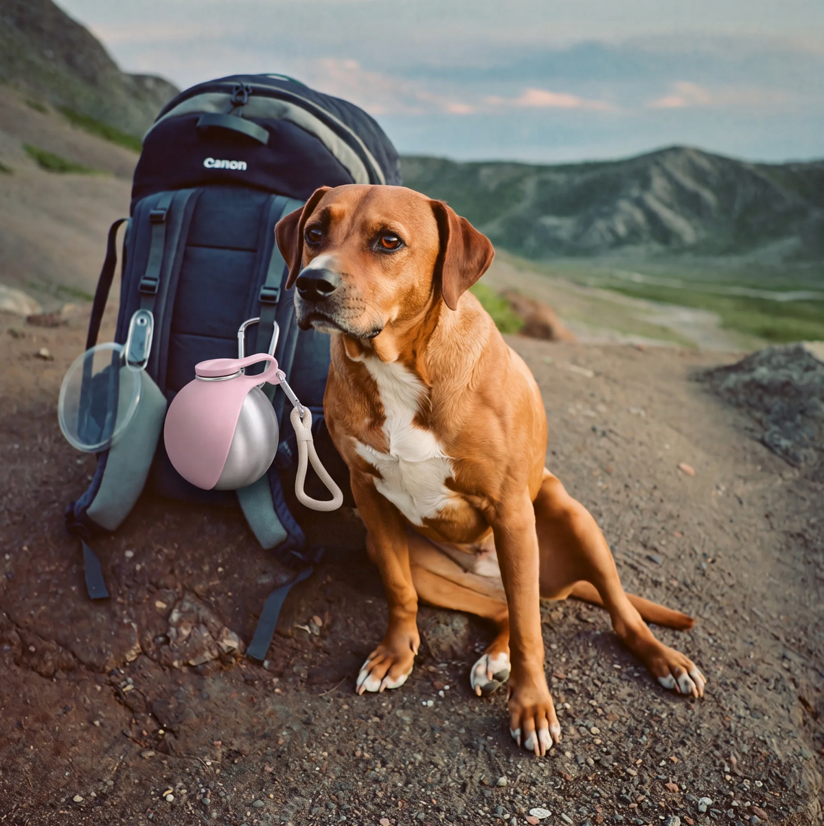 Le Pack Promenade