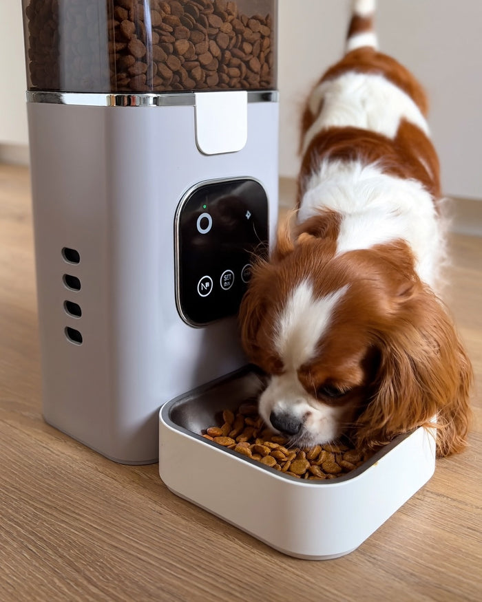 Distributeur automatique de croquettes