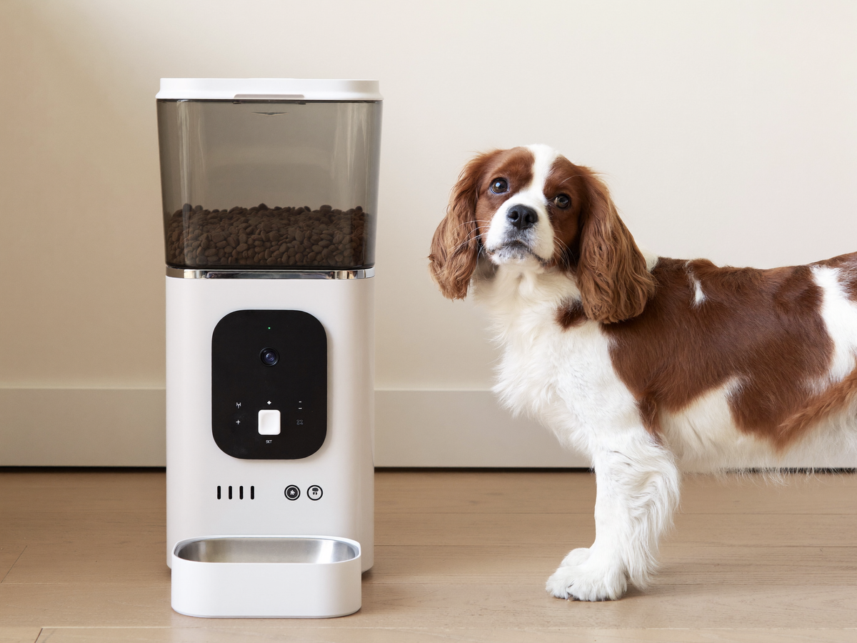 Le distributeur automatique de croquettes FoyerPet