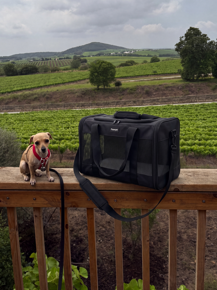 Sac de transport pour chien FoyerPet