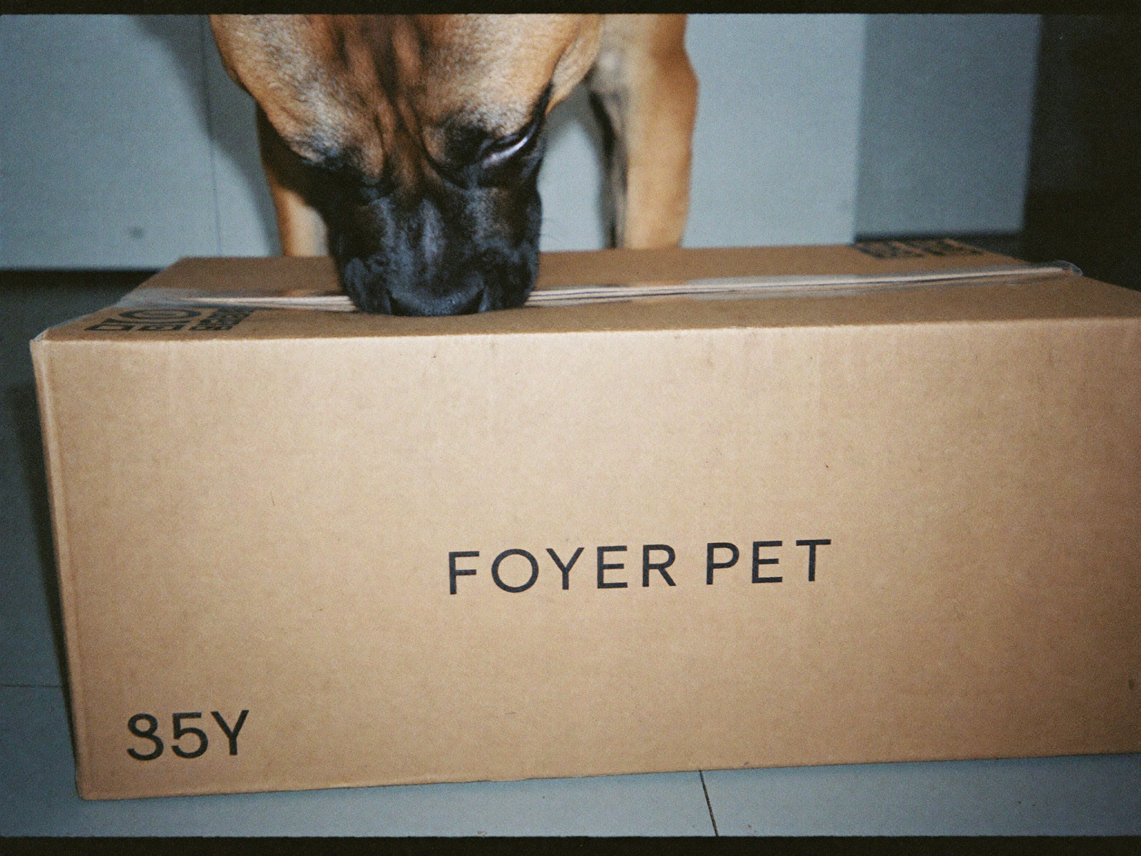 Packs et ensembles FoyerPet